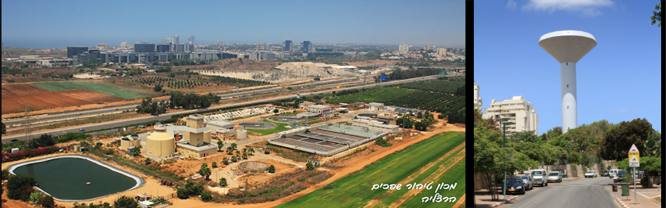 דף הבית